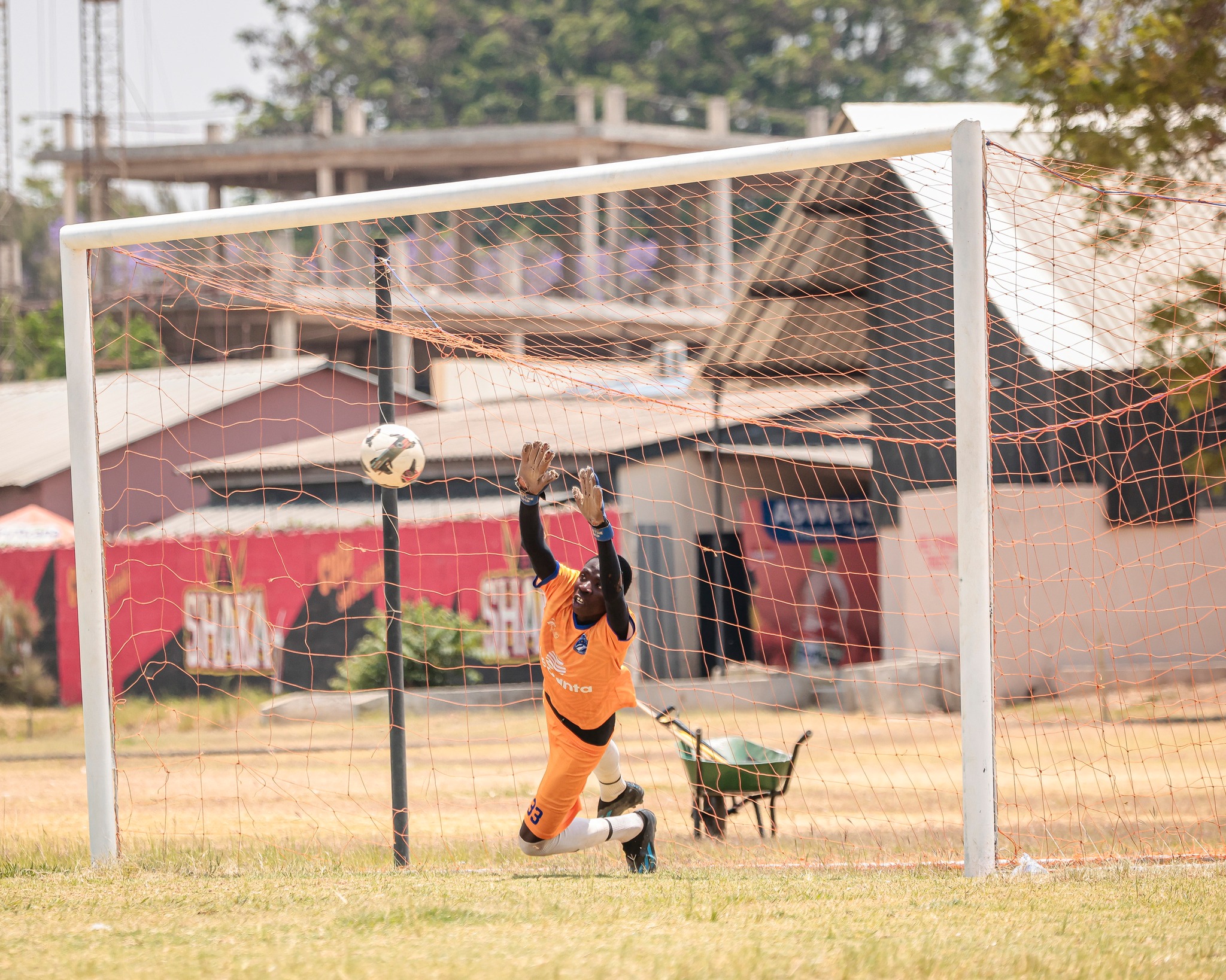 ZPL National League Week 10 Review